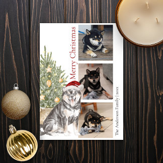 Cartes Pour Fêtes Annuelles Sesame Shiba Inu Christmas Tree Animaux de compagn