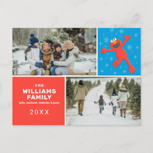 Cartes Pour Fêtes Annuelles Sesame Street   Photo de famille flocon de neige d