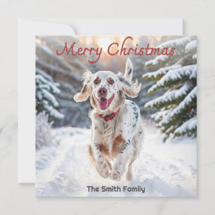 Cartes Pour Fêtes Annuelles Setter Anglais Chien Neige Aquarelle Joyeux Noël