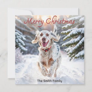 Cartes Pour Fêtes Annuelles Setter Anglais Chien Neige Aquarelle Joyeux Noël