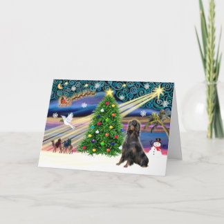 Cartes Pour Fêtes Annuelles Setter Magic-Gordon de Noël