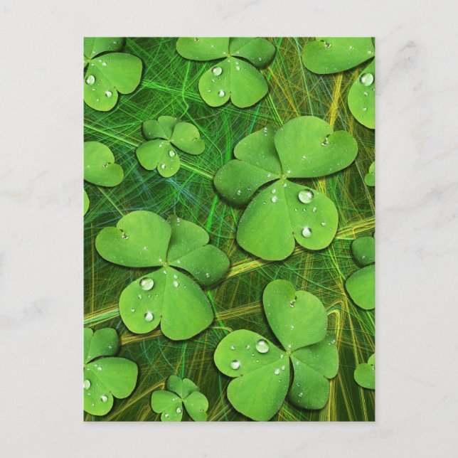 Cartes Pour Fêtes Annuelles Shamrock vert St Patrick iPhone 5 Coque-Mate (Devant)
