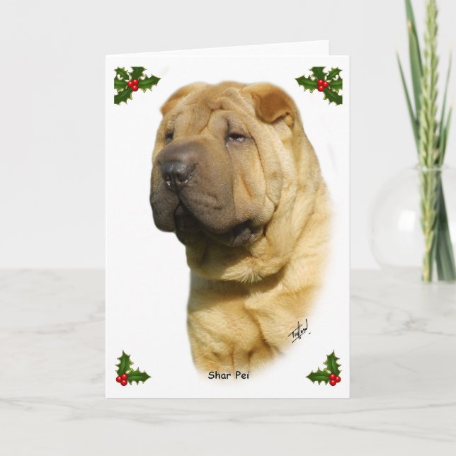 Cartes Pour Fêtes Annuelles Shar 9M100D-045 (Devant)