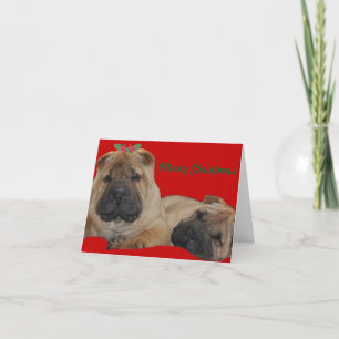 Cartes Pour Fêtes Annuelles Shar Pei Holly Puppy Christmas