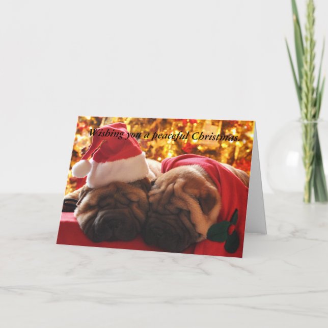 Cartes Pour Fêtes Annuelles Shar Pei Peaceful Christmas (Devant)