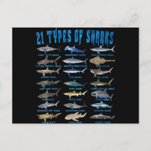 Cartes Pour Fêtes Annuelles Shark Lovers 21 Types of Sharks Ocean Animal
