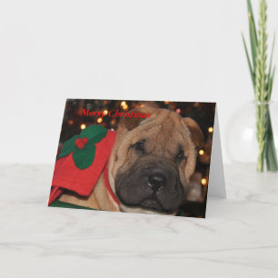 Cartes Pour Fêtes Annuelles Sharpei Christmas Card