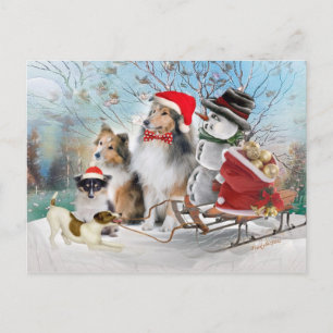 Cartes Pour Fêtes Annuelles Sheltie, Jack Russell et Snowman Xmas