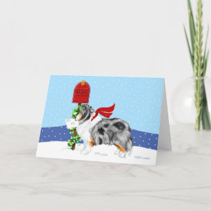 Cartes Pour Fêtes Annuelles Shelty Christmas Mail Blue Merle