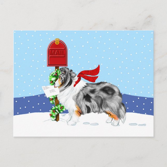 Cartes Pour Fêtes Annuelles Shelty Christmas Mail Blue Merle (Devant)