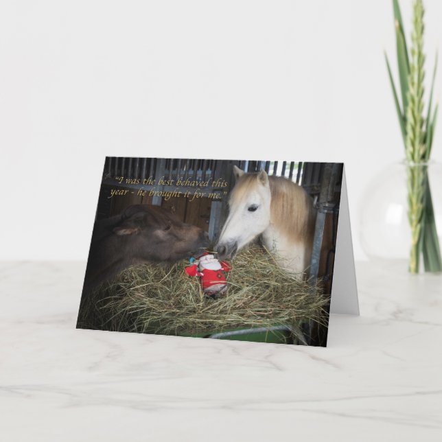Cartes Pour Fêtes Annuelles Shetland pony Christmas (Devant)