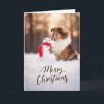 Cartes Pour Fêtes Annuelles Shetland Sheepdog Snowman Christmas Card<br><div class="desc">This beautiful Christmas card features a sable Shetland Sheepdog sitting in the snow beside a cheerful little snowman wrapped in a bright red scarf, glowing in soft golden winter light. The inside is blank and fully customizable, so you can add your own holiday message, family greeting, or personal note. Perfect...</div>
