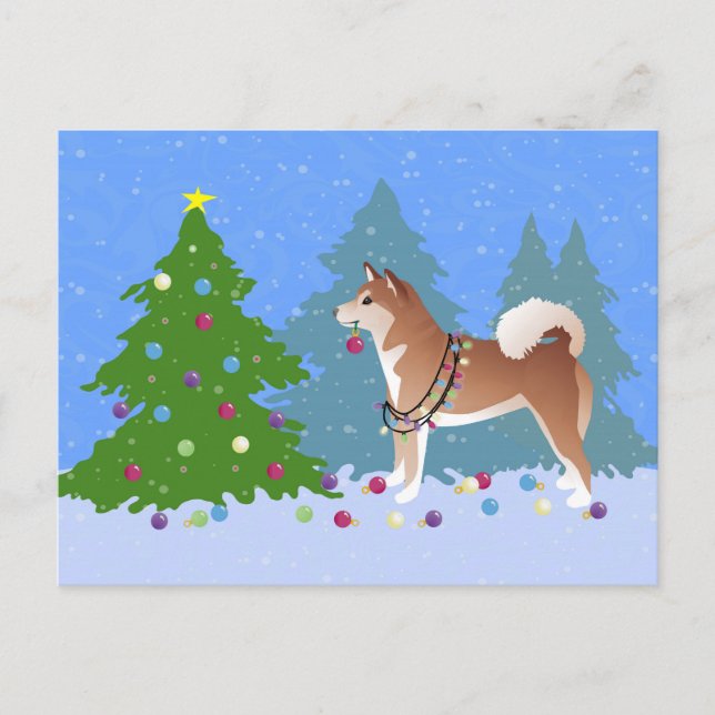 Cartes Pour Fêtes Annuelles Shiba Inu Chien décorant l'arbre de Noël (Devant)