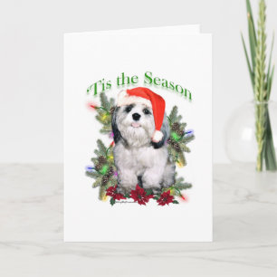 Cartes Pour Fêtes Annuelles Shih Tzu 'C'est la Saison