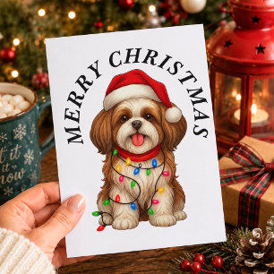 Cartes Pour Fêtes Annuelles Shih Tzu Chien Joyeux Noël Chapeau de Père Noël