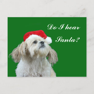 Cartes Pour Fêtes Annuelles Shih Tzu détecte à l'oreille Père Noël
