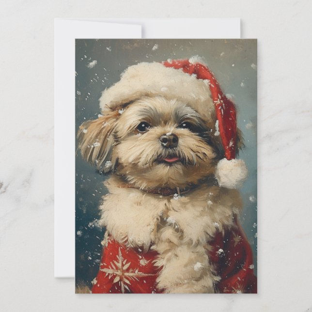 Cartes Pour Fêtes Annuelles Shih Tzu Noël (Devant)