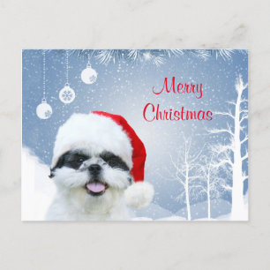 Cartes Pour Fêtes Annuelles Shih Tzu Noël