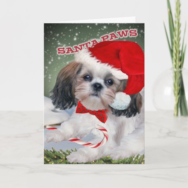Cartes Pour Fêtes Annuelles Shih Tzu Père Noël Paws (Devant)