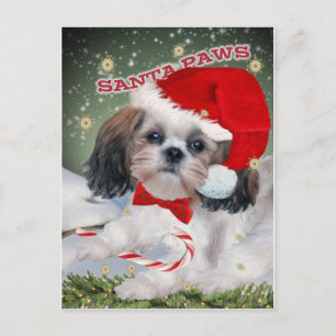 Cartes Pour Fêtes Annuelles Shih Tzu Père Noël Paws cadeaux