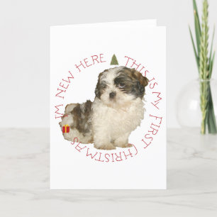Cartes Pour Fêtes Annuelles Shih Tzu Puppy Premier Noël