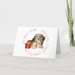 Cartes Pour Fêtes Annuelles Shih Tzu Puppy Premier Noël