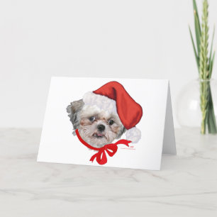 Cartes Pour Fêtes Annuelles Shih Tzu Secourt Chien Joyeuses Fêtes