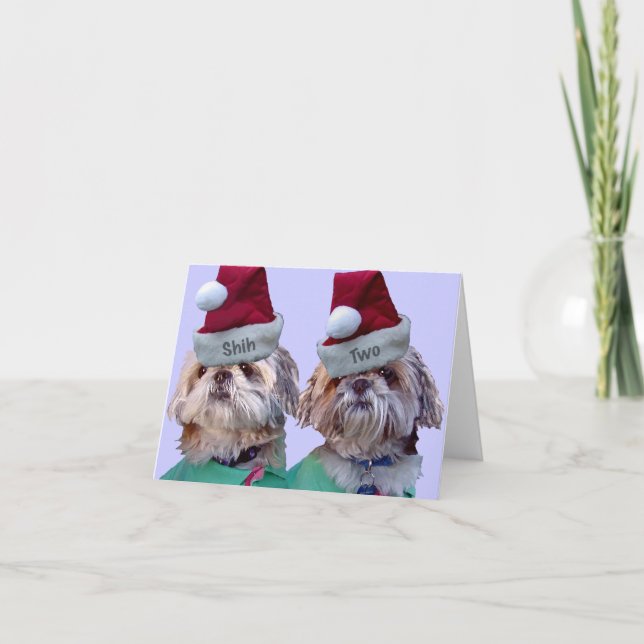 Cartes Pour Fêtes Annuelles Shih Tzu - Shih deux (Devant)
