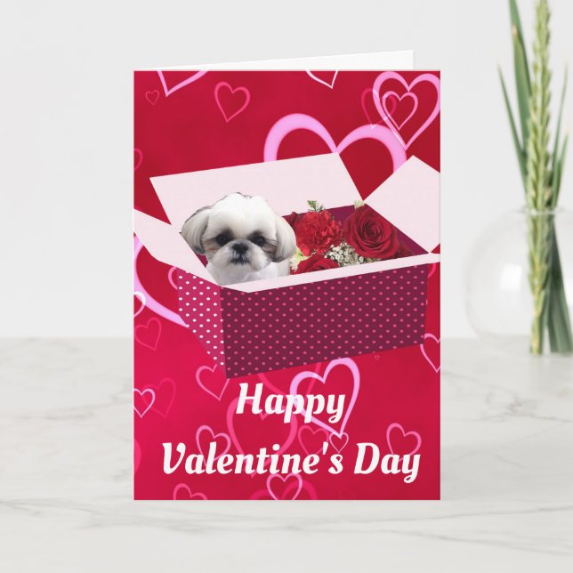 Cartes Pour Fêtes Annuelles Shih tzu Valentine's Day Card, Chien (Devant)