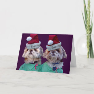 Cartes Pour Fêtes Annuelles Shih Tzues Shih Two Christmas Greeting Cards