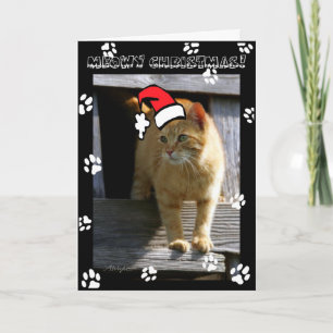 Cartes Pour Fêtes Annuelles SHORTY5X7 christmas