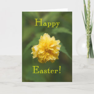 Cartes Pour Fêtes Annuelles Shy, Joyeux Pâques !