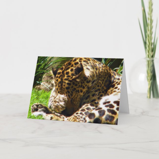 Cartes Pour Fêtes Annuelles Shy Leopard (Devant)