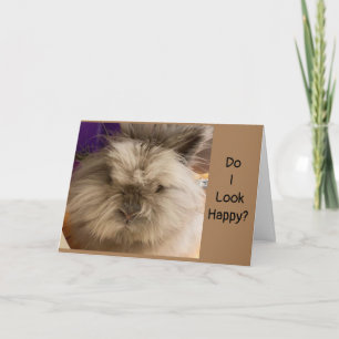 CARTES POUR FÊTES ANNUELLES SI TELLEMENT "TRISTE" CAR JE NE PEUX PAS VOUS VOIR