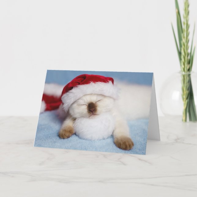 Cartes Pour Fêtes Annuelles Siamese Kitten : Napping de vacances (Devant)
