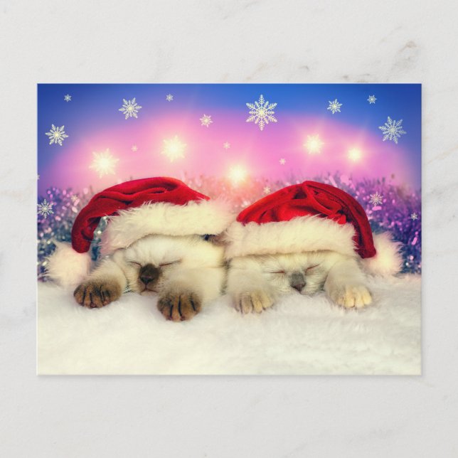 Cartes Pour Fêtes Annuelles Siamese Kitten : Père Noël Twinsies (Devant)