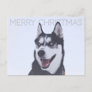 Cartes Pour Fêtes Annuelles Siberian Husky-Christmas