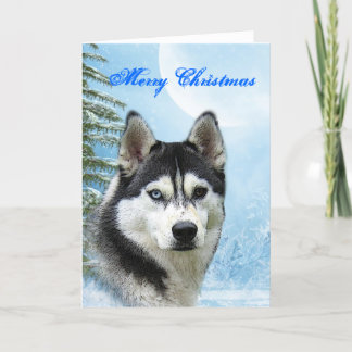Cartes Pour Fêtes Annuelles Siberian Husky Christmas Card