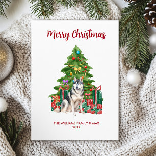 Cartes Pour Fêtes Annuelles Sibérie Husky Chig famille Noël