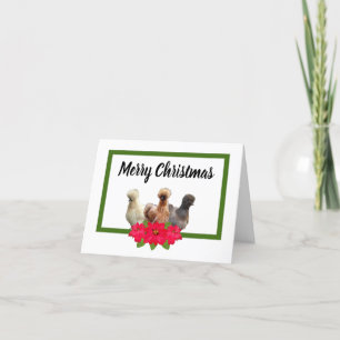 Cartes Pour Fêtes Annuelles Silkie Bantam Joyeux poulets de Noël Poinsettia