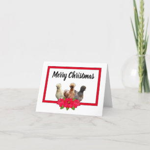 Cartes Pour Fêtes Annuelles Silkie Bantam Poulet de Noël Poinsetta RedFrame