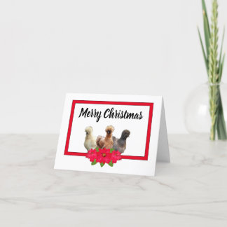 Cartes Pour Fêtes Annuelles Silkie Bantam poulet Noël Poinsetta RedFrame