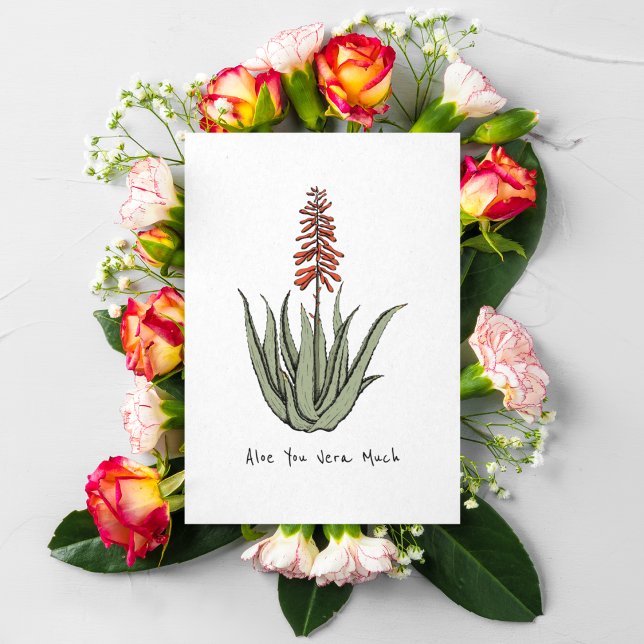 Cartes Pour Fêtes Annuelles Simple Aloe Vous Verrez Beaucoup Blair Cactus Plan (Hand-Drawn Cactus Plant Art in Green & Orange Hues. Valentines Day, Birthday, Anniversary, Love)
