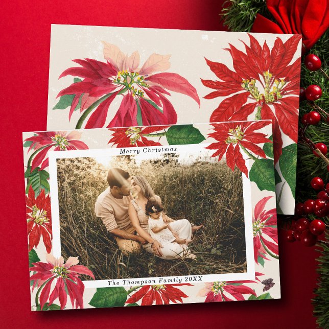 Cartes Pour Fêtes Annuelles Simple moderne Poinsettia Famille Photo Noël (Simple Modern Poinsettia Family Photo Christmas Holiday Card)