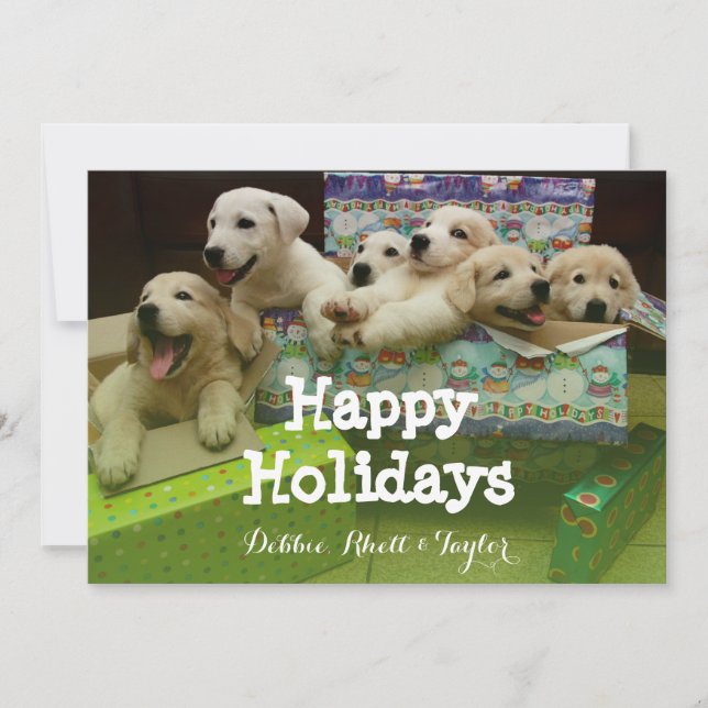 Cartes Pour Fêtes Annuelles Six chiots assis dans des boîtes de Noël (Devant)