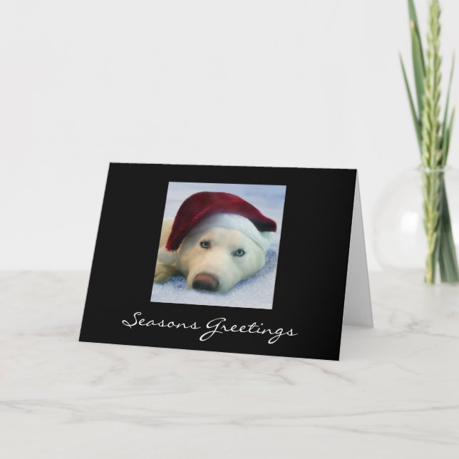Cartes Pour Fêtes Annuelles Skyla - Joyeuses Fêtes (Devant)
