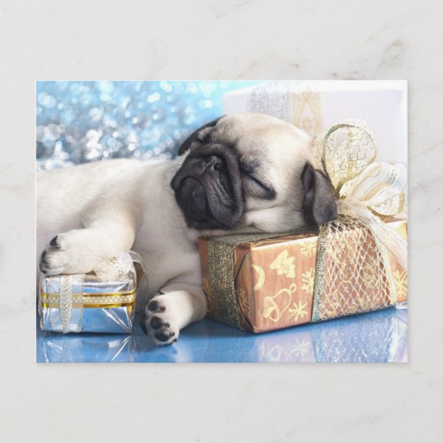 Cartes Pour Fêtes Annuelles Sleeping puppy pug and Christmas venin (Devant)