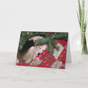 Cartes Pour Fêtes Annuelles Sleepy Christmas Beagle