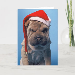 Cartes Pour Fêtes Annuelles Sleepy Shar Pei x mas Chien de Noël