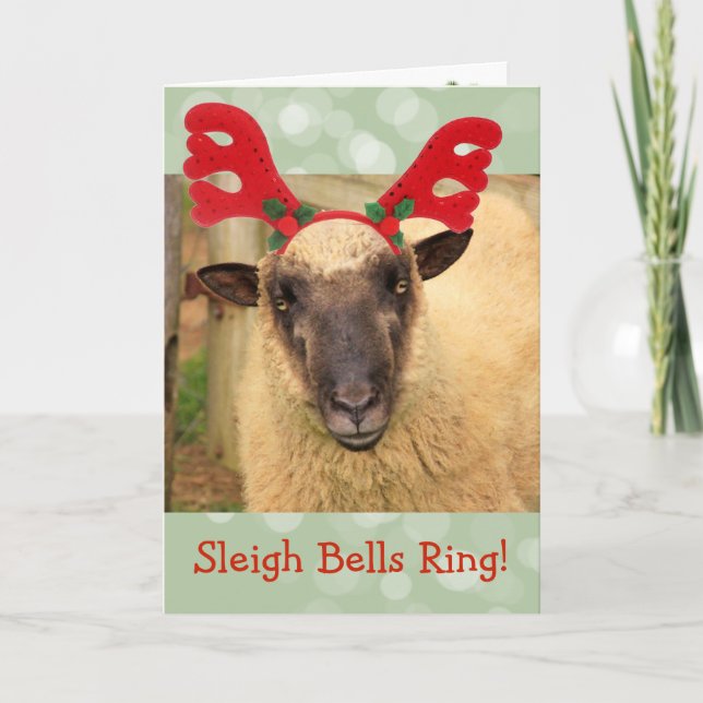 Cartes Pour Fêtes Annuelles Sleigh Bells Sheep (Devant)
